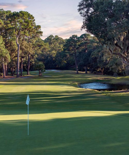 _0002_DolphinHeadHole11