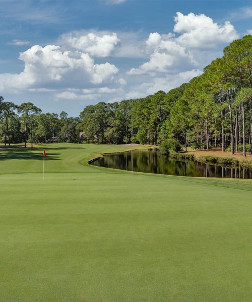 _0005_DolphinHeadHole08