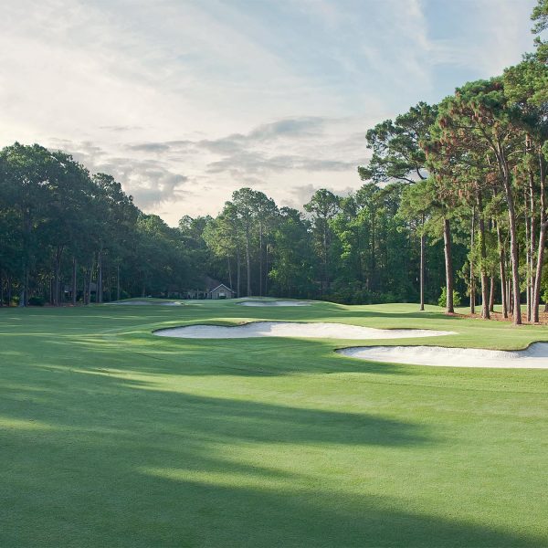 _0006_DolphinHeadHole5